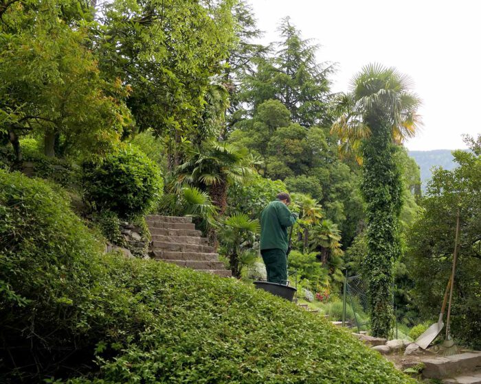 Im Kräutergarten wird für Ordnung gesorgt. Die Gärtner der Stadt Meran kümmern sich um den Orto delle erbe aromatici.